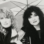 Heart - List pictures