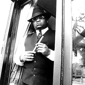 Scarface - List pictures