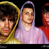 Unicorns - List pictures