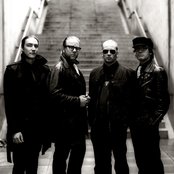 Viikate - List pictures