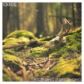 Icarus - List pictures