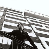 David Gray - List pictures