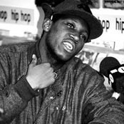 Joker - List pictures