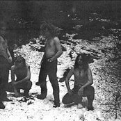 Mithotyn - List pictures