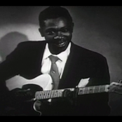 B.b. King - List pictures
