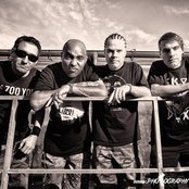 Dog Eat Dog - List pictures