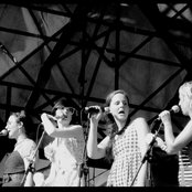 I'm From Barcelona - List pictures