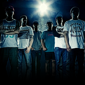 Fact - List pictures