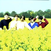 Charlatans Uk - List pictures