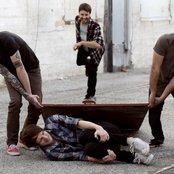 This Wild Life - List pictures