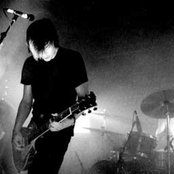 Year Of The Rabbit - List pictures