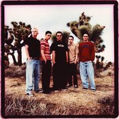 Slick Shoes - List pictures