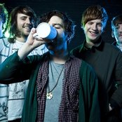 Foals - List pictures
