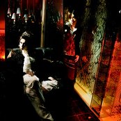 Sugar - List pictures