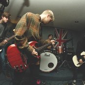 Cardinal - List pictures