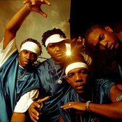 T.o.k - List pictures