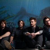 Seabird - List pictures