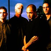 Stanid - List pictures