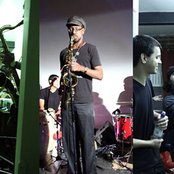 Melt Yourself Down - List pictures