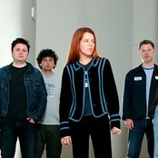 New Pornographers - List pictures