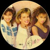 Flans - List pictures