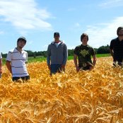 Laurel - List pictures