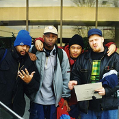 Company Flow - List pictures