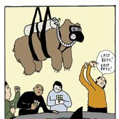 Bear Vs. Shark - List pictures