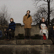 Annuals - List pictures