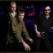 The Head Cat - List pictures