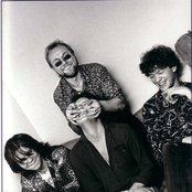 The Nomads - List pictures