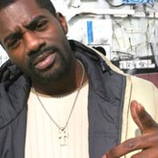 Loon - List pictures