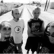 Bad Acid Trip - List pictures