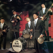 Beau Brummels - List pictures