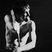 Pop Iggy - List pictures