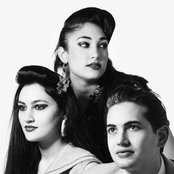 Kitty, Daisy And Lewis - List pictures