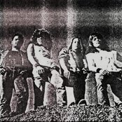 Infected - List pictures