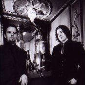 Black Light Burns - List pictures