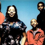 4 The Cause - List pictures