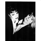 Voice Of The Beehive - List pictures