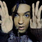 Bablyon Zoo - List pictures