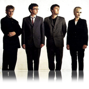 Cranberries - List pictures
