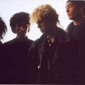 Fair Sex - List pictures