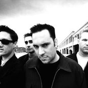 Face To Face - List pictures