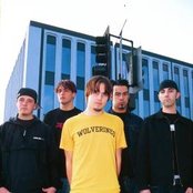 Finch - List pictures