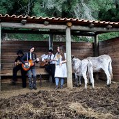 Nobody's Bizness - List pictures