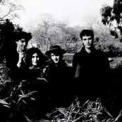 The Jazz Butcher - List pictures