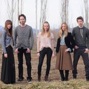 5 Browns - List pictures