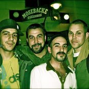 Labyrint - List pictures