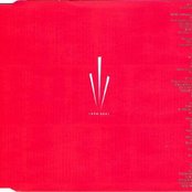 Shogun - List pictures